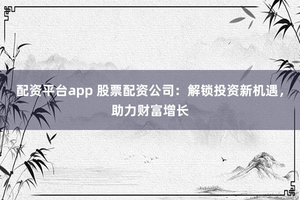 配资平台app 股票配资公司：解锁投资新机遇，助力财富增长