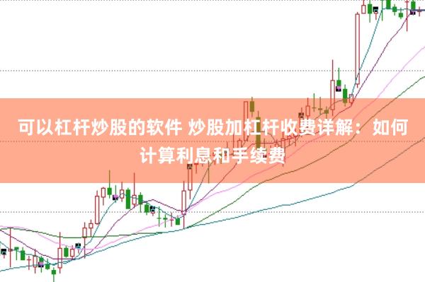 可以杠杆炒股的软件 炒股加杠杆收费详解：如何计算利息和手续费