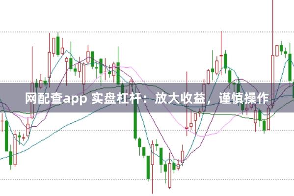网配查app 实盘杠杆：放大收益，谨慎操作