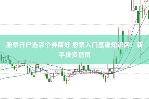 股票开户选哪个券商好 股票入门基础知识网：新手投资指南