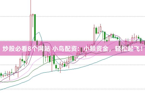 炒股必看8个网站 小鸟配资：小额资金，轻松起飞！