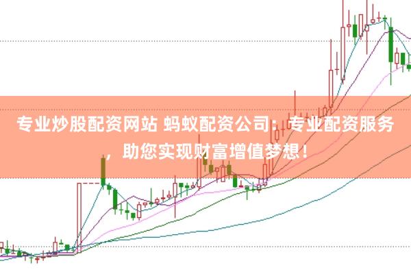 专业炒股配资网站 蚂蚁配资公司：专业配资服务，助您实现财富增值梦想！