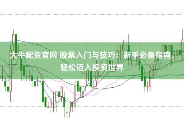 大牛配资官网 股票入门与技巧：新手必备指南，轻松迈入投资世界