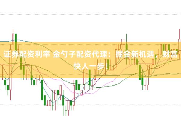 证券配资利率 金勺子配资代理：掘金新机遇，财富快人一步！