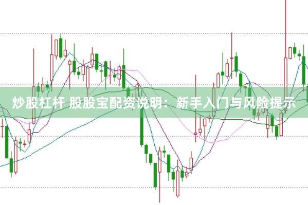 炒股杠杆 股股宝配资说明：新手入门与风险提示