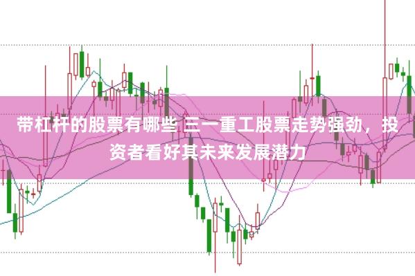 带杠杆的股票有哪些 三一重工股票走势强劲，投资者看好其未来发展潜力