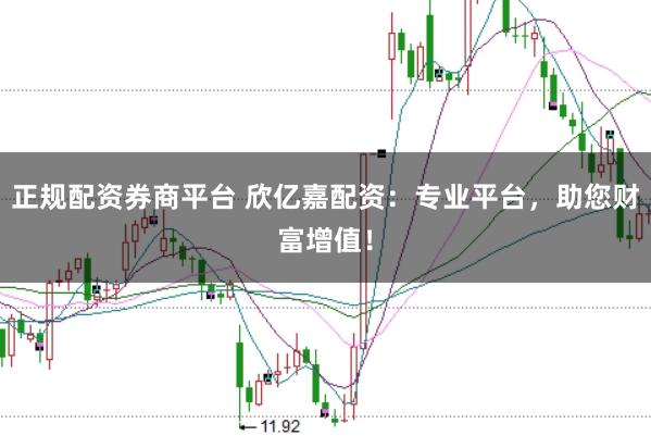 正规配资券商平台 欣亿嘉配资：专业平台，助您财富增值！