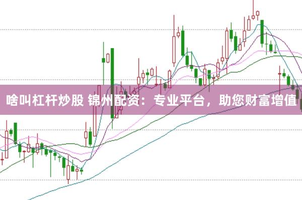 啥叫杠杆炒股 锦州配资：专业平台，助您财富增值