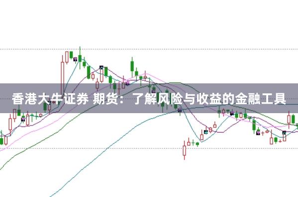 香港大牛证券 期货：了解风险与收益的金融工具