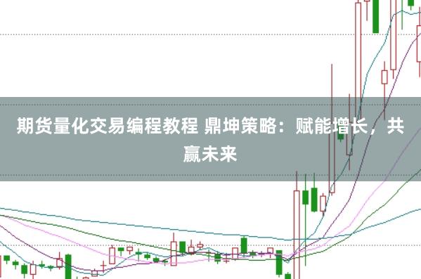 期货量化交易编程教程 鼎坤策略：赋能增长，共赢未来