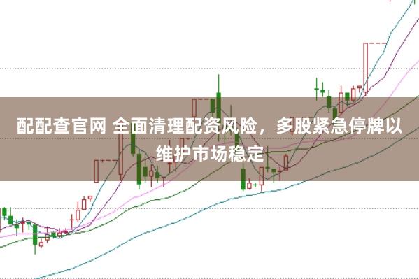 配配查官网 全面清理配资风险，多股紧急停牌以维护市场稳定