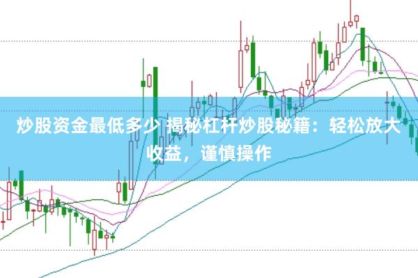炒股资金最低多少 揭秘杠杆炒股秘籍：轻松放大收益，谨慎操作