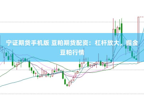 宁证期货手机版 豆粕期货配资：杠杆放大，掘金豆粕行情