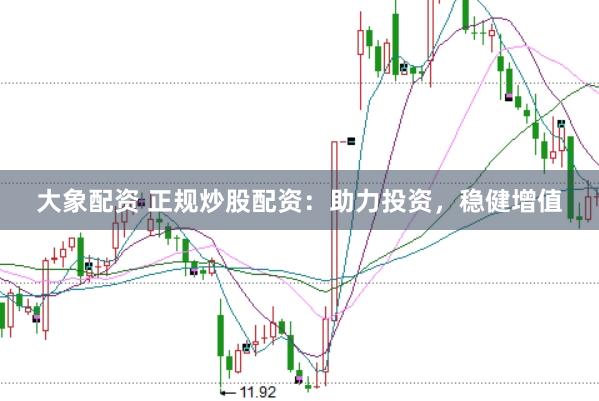 大象配资 正规炒股配资：助力投资，稳健增值