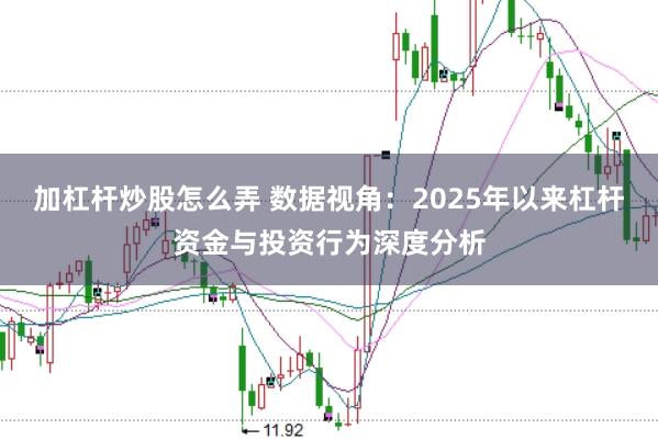 加杠杆炒股怎么弄 数据视角:2025年以来杠杆资金与投资行为深度分析