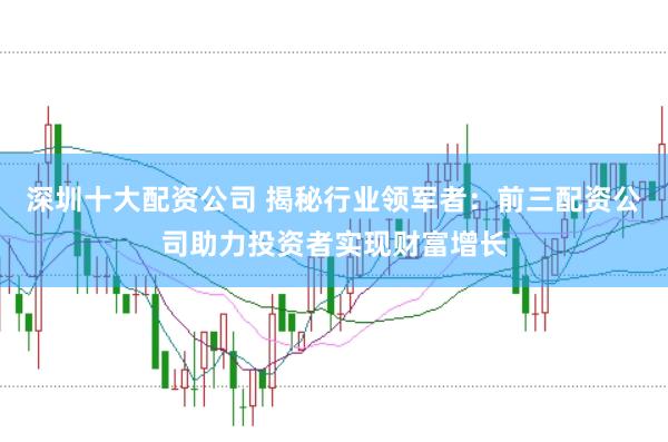 深圳十大配资公司 揭秘行业领军者：前三配资公司助力投资者实现财富增长