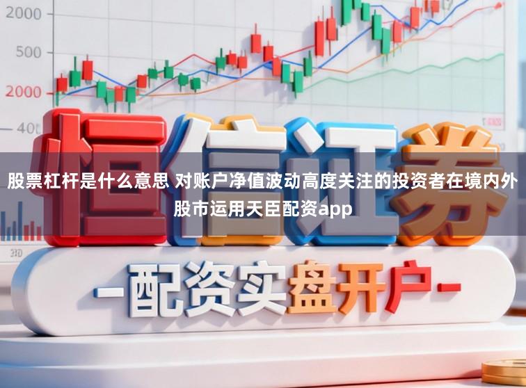 股票杠杆是什么意思 对账户净值波动高度关注的投资者在境内外股市运用天臣配资app