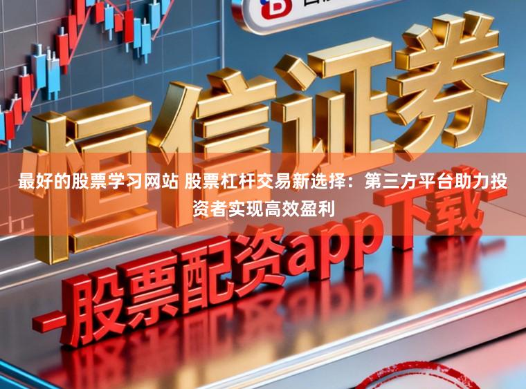 最好的股票学习网站 股票杠杆交易新选择：第三方平台助力投资者实现高效盈利