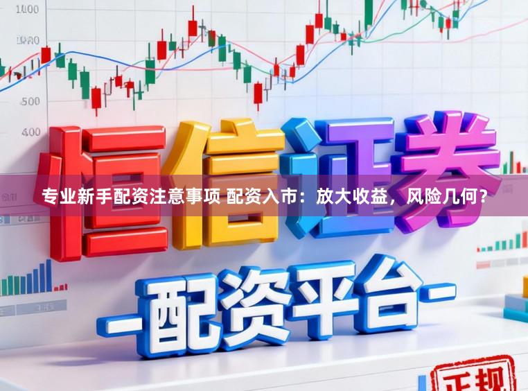 专业新手配资注意事项 配资入市：放大收益，风险几何？