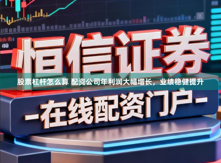 股票杠杆怎么算 配资公司年利润大幅增长，业绩稳健提升