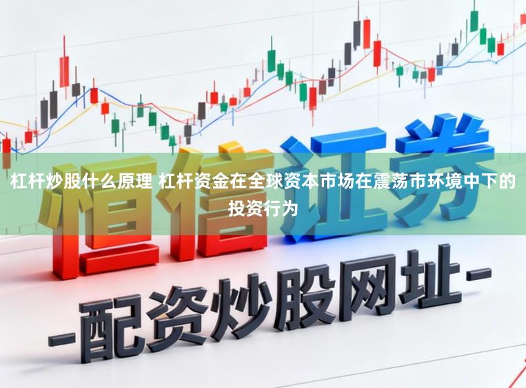 杠杆炒股什么原理 杠杆资金在全球资本市场在震荡市环境中下的投资行为
